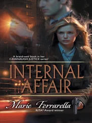 Marie Ferrarella - Internal Affair