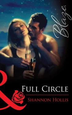 Shannon Hollis Full Circle обложка книги