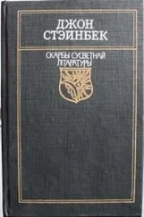 Джон Стэйнбек - Гронкі гневу