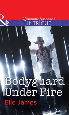 Elle James Bodyguard Under Fire обложка книги
