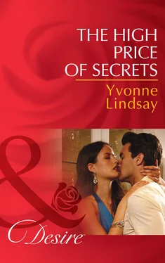 Yvonne Lindsay The High Price of Secrets обложка книги