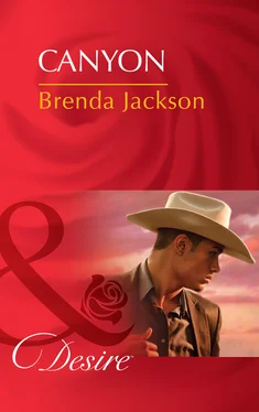 Brenda Jackson Canyon обложка книги