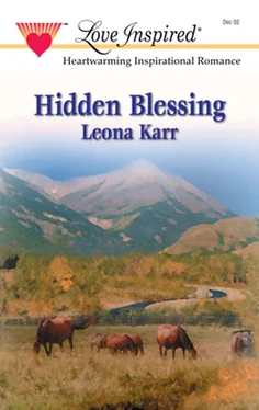 Leona Karr Hidden Blessing обложка книги