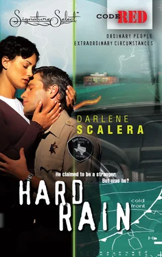 Darlene Scalera Hard Rain обложка книги