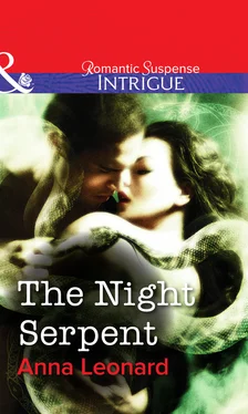 Anna Leonard The Night Serpent обложка книги