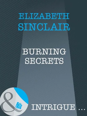 Elizabeth Sinclair Burning Secrets обложка книги