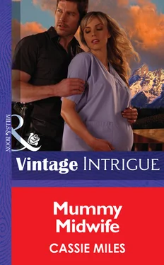 Cassie Miles Mommy Midwife обложка книги