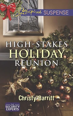 Christy Barritt High-Stakes Holiday Reunion обложка книги