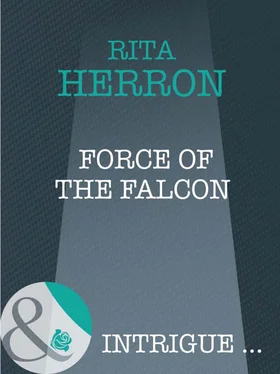 Rita Herron Force of the Falcon обложка книги