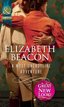 Elizabeth Beacon A Most Unladylike Adventure обложка книги