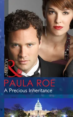 Paula Roe A Precious Inheritance обложка книги