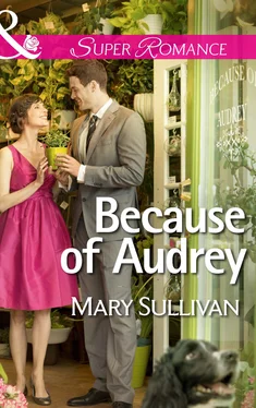 Mary Sullivan Because of Audrey обложка книги
