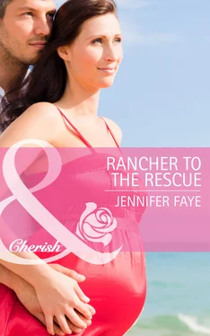 Jennifer Faye Rancher to the Rescue обложка книги