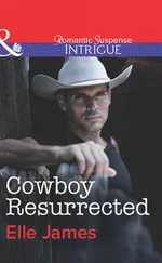 Elle James - Cowboy Resurrected