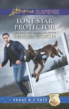 Lenora Worth Lone Star Protector обложка книги