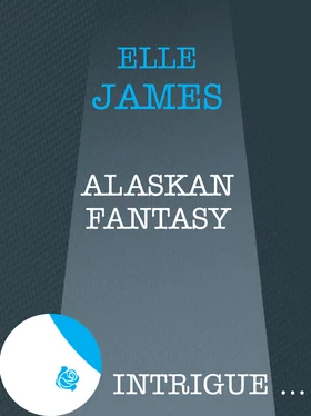 Elle James Alaskan Fantasy обложка книги