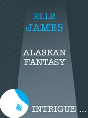 Elle James - Alaskan Fantasy