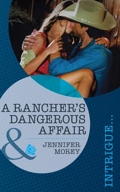Jennifer Morey A Rancher's Dangerous Affair обложка книги