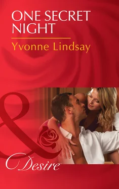 Yvonne Lindsay One Secret Night обложка книги
