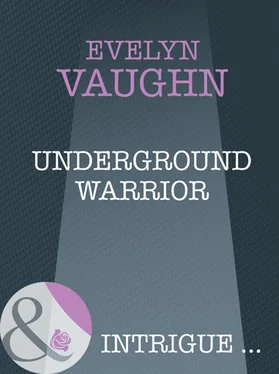 Evelyn Vaughn Underground Warrior обложка книги