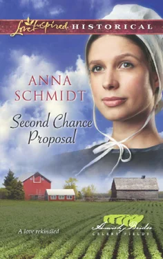 Anna Schmidt Second Chance Proposal обложка книги