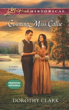 Dorothy Clark Courting Miss Callie обложка книги