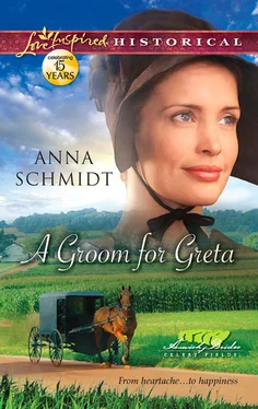 Anna Schmidt A Groom for Greta обложка книги