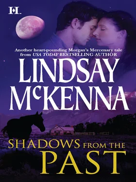 Lindsay McKenna Shadows from the Past обложка книги