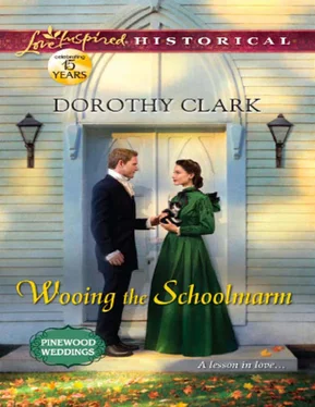 Dorothy Clark Wooing the Schoolmarm обложка книги