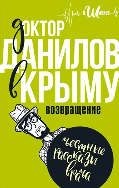 Андрей Шляхов Доктор Данилов в Крыму. Возвращение обложка книги