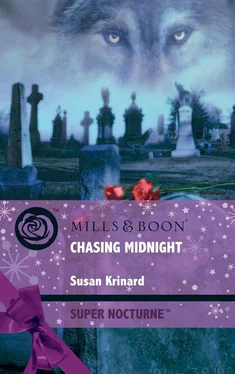 Susan Krinard Chasing Midnight обложка книги