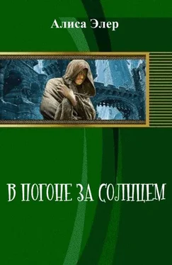 Алиса Элер В погоне за солнцем (СИ) обложка книги