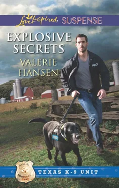 Valerie Hansen Explosive Secrets обложка книги