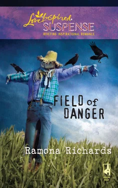 Ramona Richards Field of Danger обложка книги