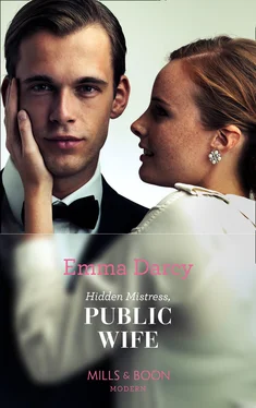 Emma Darcy Hidden Mistress, Public Wife обложка книги