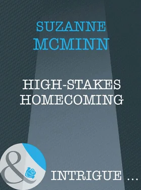 Suzanne Mcminn High-Stakes Homecoming обложка книги