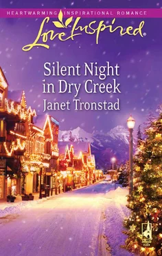 Janet Tronstad Silent Night in Dry Creek обложка книги