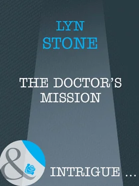 Lyn Stone The Doctor's Mission обложка книги