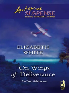 Elizabeth White On Wings Of Deliverance обложка книги