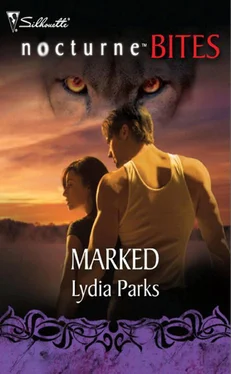 Lydia Parks Marked обложка книги