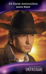 Joanna Wayne - 24 Karat Ammunition