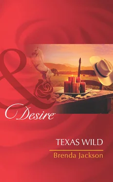 Brenda Jackson Texas Wild обложка книги