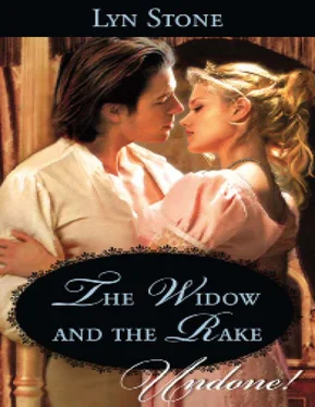 Lyn Stone The Widow and the Rake обложка книги