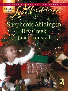 Janet Tronstad Shepherds Abiding in Dry Creek обложка книги