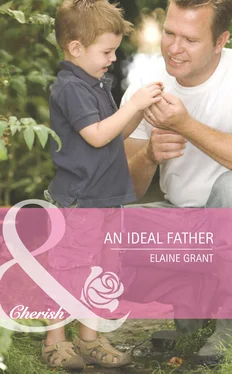 Elaine Grant An Ideal Father обложка книги