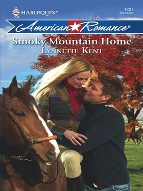 Lynnette Kent Smoky Mountain Home обложка книги