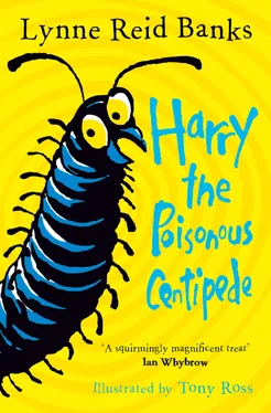 Lynne Reid Banks Harry the Poisonous Centipede обложка книги
