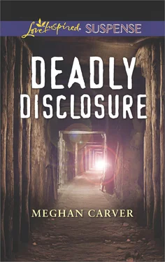 Meghan Carver Deadly Disclosure обложка книги
