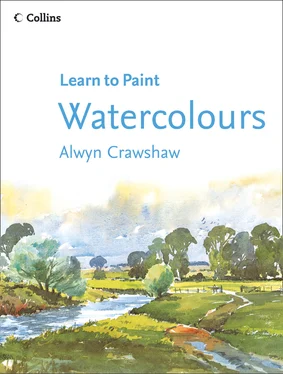 Alwyn Crawshaw Watercolours обложка книги