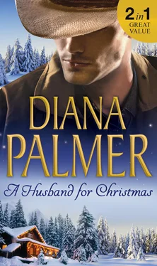Diana Palmer A Husband For Christmas обложка книги
